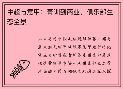 中超与意甲：青训到商业，俱乐部生态全景