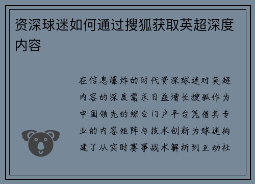 资深球迷如何通过搜狐获取英超深度内容